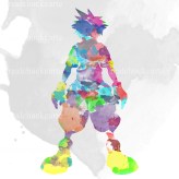 rainbow sora small